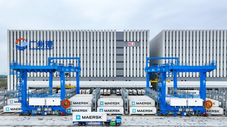 Lingang_Cold_Chain_Logistic_Center_Reefer_Rack_Gantry_Project Phase_I_04